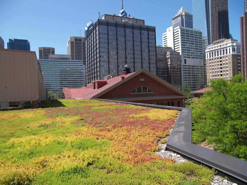 paysagiste-BORMES LES MIMOSAS-min_green-roof-portfolio-4